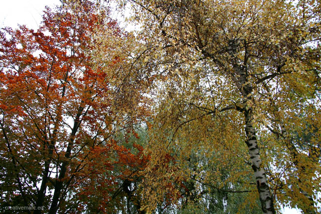 Traunsee-autumn005